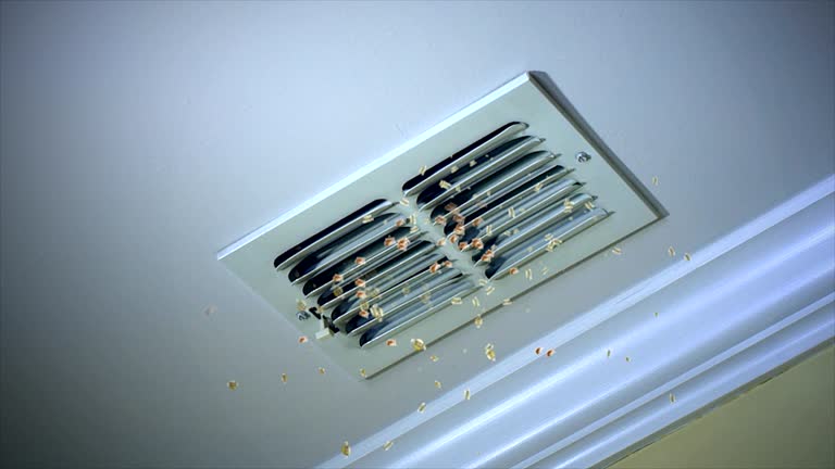 Best HVAC Air Duct Cleaning  in Belmont, PA